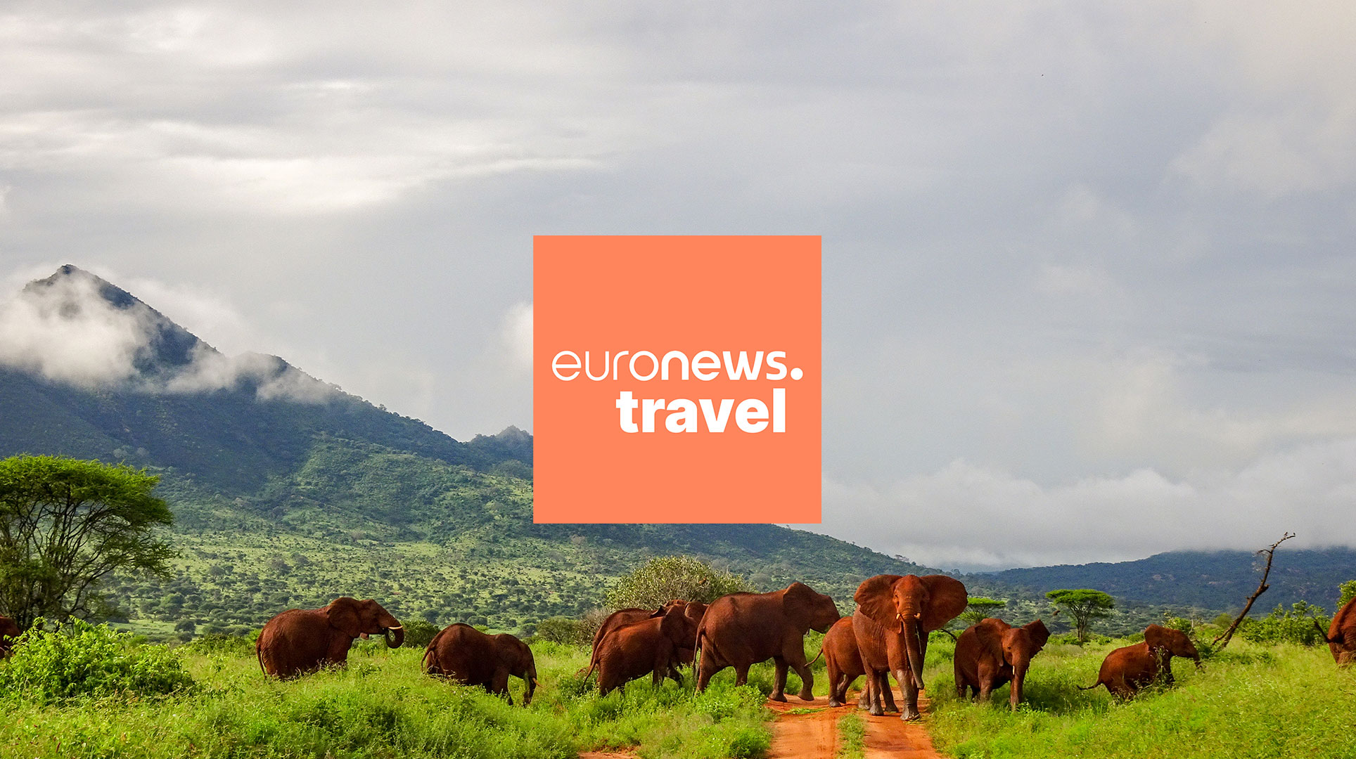 travel euronews logo